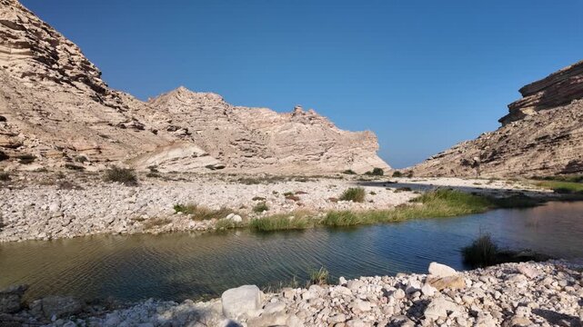 Wadi Sinaq natural oasis, featuring numerous green palm trees and a small pond nestled between towering rocky canyon walls under a clear blue sky in Oman's Dhofar Governorate