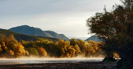 Salt River in Arizona 