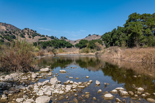 Malibu Creek State Park, Santa Monica Mountains National Recreation Area. Los Angeles County, California
