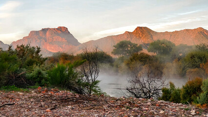 Salt River in Arizona 