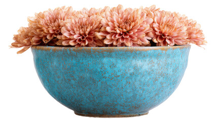 Peach colored chrysanthemum flowers filling a rustic turquoise ceramic bowl, floral design on transparent background