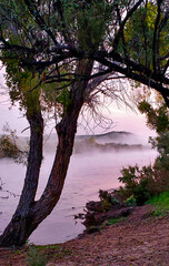 Salt River in Arizona 