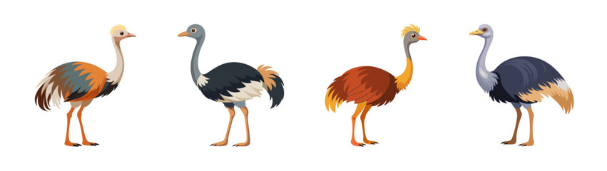 Obraz premium Ostrich cartoon illustration vector art featuring cute ostriches in various colors standing tall