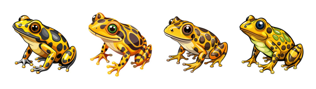 Collection of colorful poison dart frogs vector illustration amphibian animal wildlife art design