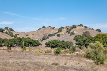 Malibu Creek State Park, Santa Monica Mountains National Recreation Area. Los Angeles County, California
