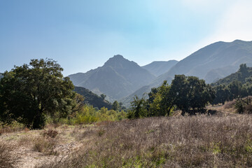 Malibu Creek State Park, Santa Monica Mountains National Recreation Area. Los Angeles County, California