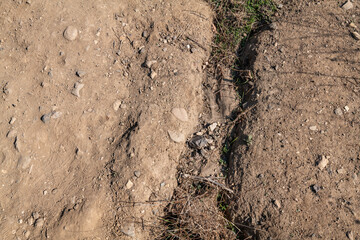 erosion. (Qa) Alluvial gravel, sand and clay of flood plains. Malibu Creek State Park, Santa Monica Mountains National Recreation Area. Los Angeles County, California
