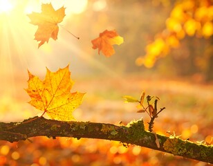 Sunlight illuminates falling leaves atop a mossy branch in autumn