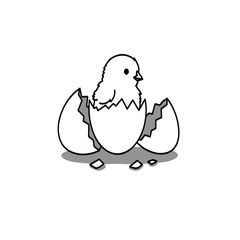 Cute Baby Chick Hatching From a Broken Egg.