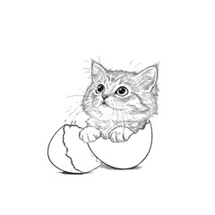 Cute kitten hatching from an egg illustration.