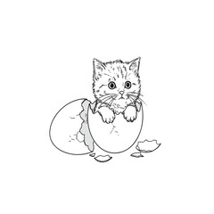 Cute kitten hatching from an egg adorable pet.