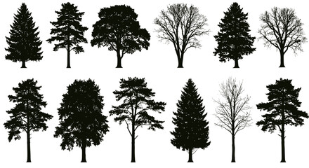 Obraz premium This versatile collection features various black tree silhouettes, encompassing both evergreen and deciduous types, ideal for graphic design projects.