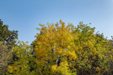 Fototapeta premium Malibu Creek State Park, Santa Monica Mountains National Recreation Area. Los Angeles County, California