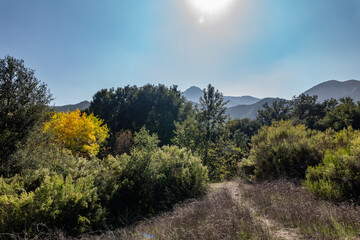 Malibu Creek State Park, Santa Monica Mountains National Recreation Area. Los Angeles County, California