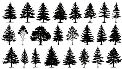 Fototapeta premium A diverse collection of detailed black tree silhouettes, rendered in a clean vector style, perfect for various graphic design projects and nature-themed illustrations.