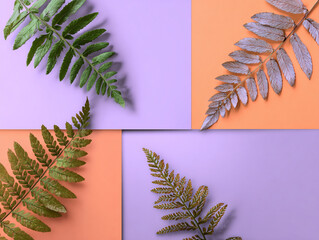 High resolution flat lay tropical leaves multi colour papers realistic image