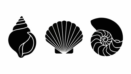 Three distinct black seashell silhouettes on a white background.