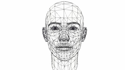 Polygonal wireframe model of a human face looking forward.