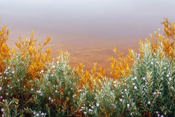 Close-up of colorful plants with small white flowers growing near water, creating a natural landscape scene with soft lighting.