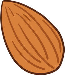 vector illustration of a walnut