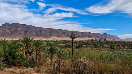 Lush green oasis with date palm trees and reeds set against a dramatic, imposing, and rugged mountain background under a cloudy blue sky in Tamezmoute, Morocco