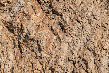 (Tmcl) Clay shale. Montery Formation. Overlook of Malibu Creek State Park, Mulholland Hwy. Santa Monica Mountains National Recreation Area. Los Angeles County, California. Sedimentary rock