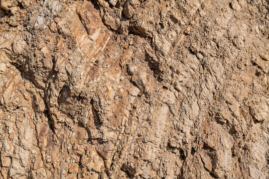 (Tmcl) Clay shale, Montery Formation . / Calabasas Formation(Tcb). Overlook of Malibu Creek State Park, Mulholland Hwy. Los Angeles County, California. Sedimentary rock. Santa Monica Mountains.