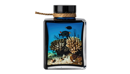 Underwater scene inside a square bottle, featuring fish, coral, sand, and a rope detail
