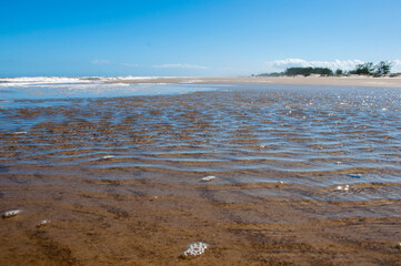 beautiful beach and blue sky at low tide with copy space