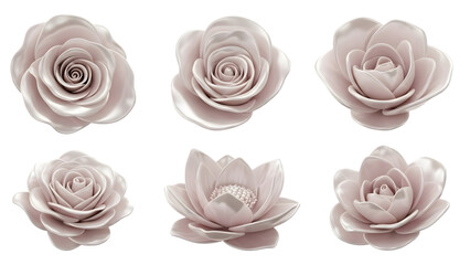 Collection of six pink rose flower heads isolated on black background