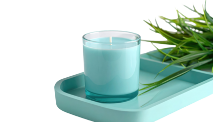 A serene aqua candle in glass on a tray, accented by wispy green fronds against a dark, isolating background