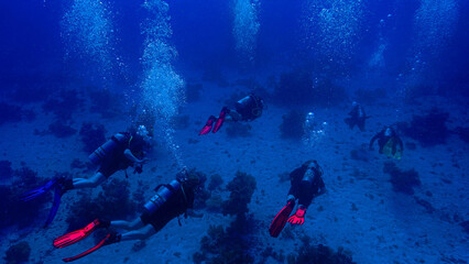 Scuba divers in the deep blue sea. Underwater photo from a scuba dive