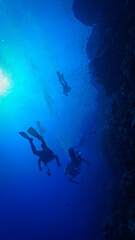 Scuba divers in the deep blue sea. Underwater photo from a scuba dive
