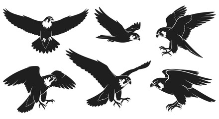 Set of Six Silhouette Illustrations of Peregrine Falcons in Flight.