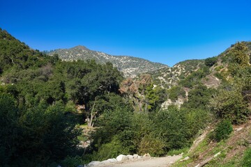 Naklejka premium Monrovia Canyon Falls Trail in the San Gabriel Mountains, California.