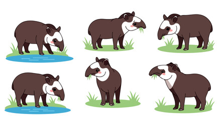 Tapirs in various poses with transparent background