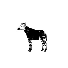 Okapi Illustration Zebra Relative