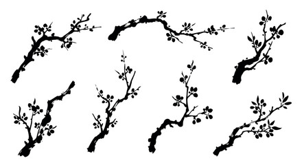 Branch silhouettes with transparent background