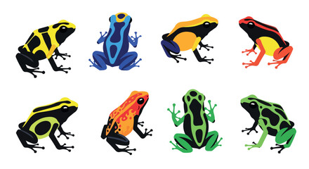 Colorful frogs collection with transparent background