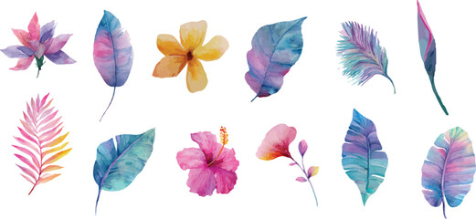 colorful feathers set