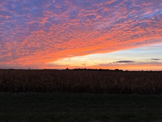 sunset over cornfield