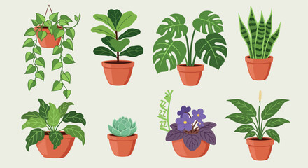 Potted plants collection in terracotta pots