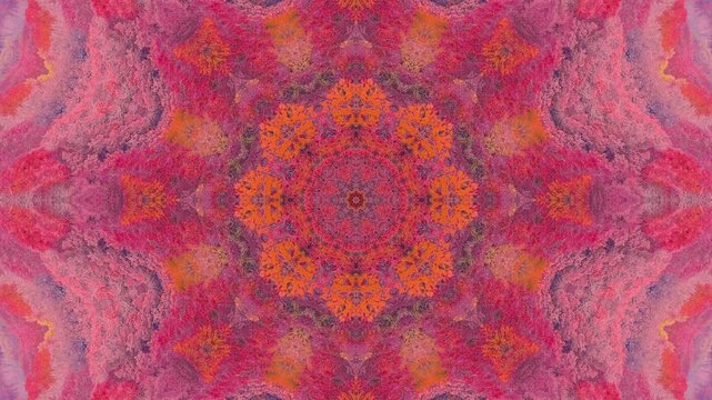 hypnotic pink orange floral kaleidoscope loop