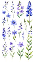 Watercolor floral arrangement (1)