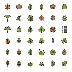 Fototapeta premium Botanical Leaf Icons Collection in Flat Vector Style