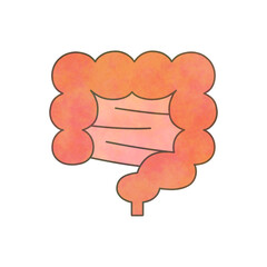 水彩タッチの腸イラスト