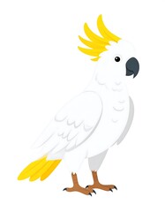 White cockatoo illustration