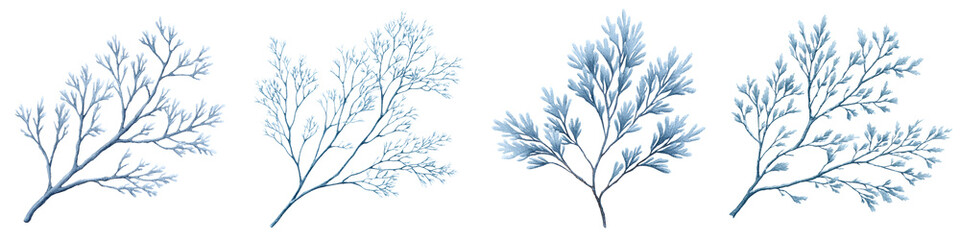 Naklejka premium Blue Cedar Branch Collection: Watercolor Style Illustrations