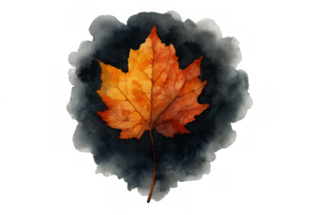 Autumn maple leaf with watercolor texture on dark background, illustrating fall season, warm colors, and nature concept