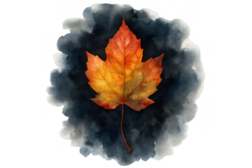 Watercolor style maple leaf with warm autumn colors resting on a dark, expressive paint splash, transparent background
